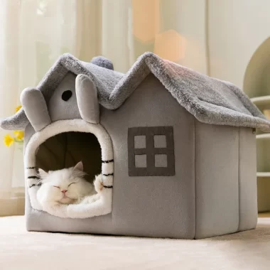 Creating a Cat’s Paradise: Designing the Perfect Cat Home