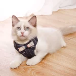 Bowknot-Cat-Harness-and-Leash-Set-Adjustable-Puppy-Harness-Cat-Lead-Leash-Clothes-Vest-Nylon-Mesh.jpg_ (1)