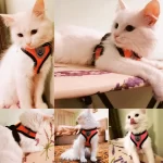 Cat-Harness-Vest-Walking-Lead-Leash-For-Puppy-Dogs-Collar-Polyester-Adjustable-Mesh-Dog-Harness-For.jpg_640x640.jpg_ (1)