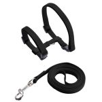 Escape-proof-Small-Dog-Cat-Harness-Collar-with-Leash-Set-H-Shape-Choke-Free-Puppy-Kitten.jpg_