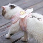 Cat-Dog-Harness-Necklace-Leash-Collar-Pet-Items-Accessories-Kawaii-Angel-Wing-Vest-Harness-For-Dogs.jpg_